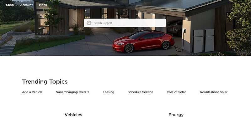 Tesla automated customer service